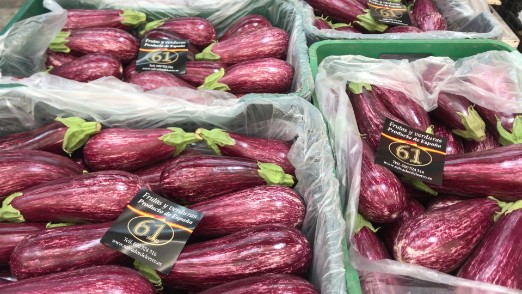 VENTA BERENJENA MORADA