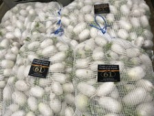 NABO BLANCO VENTA NABO BLANCO VENTA