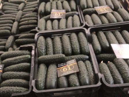 PEPINO CORTO PEPINO CORTO